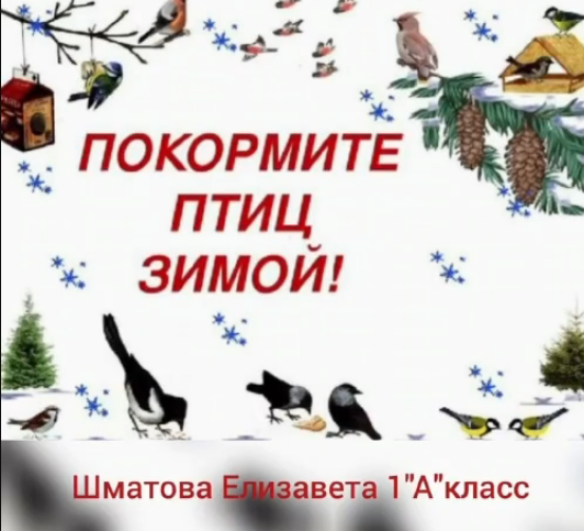 “Құстарға қамқорлық көрсетейік” акциясы. Акция “Покормите птиц зимой”. Шматова Елизавета 1 А класс.