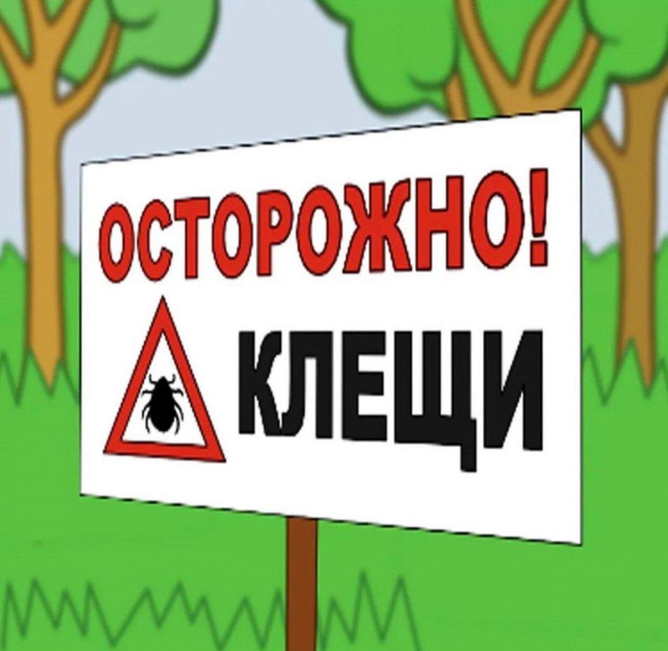 Ақпарат үшін!   Для информации!